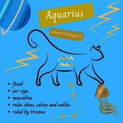 Aquarius cat-zodiac ClowderPress